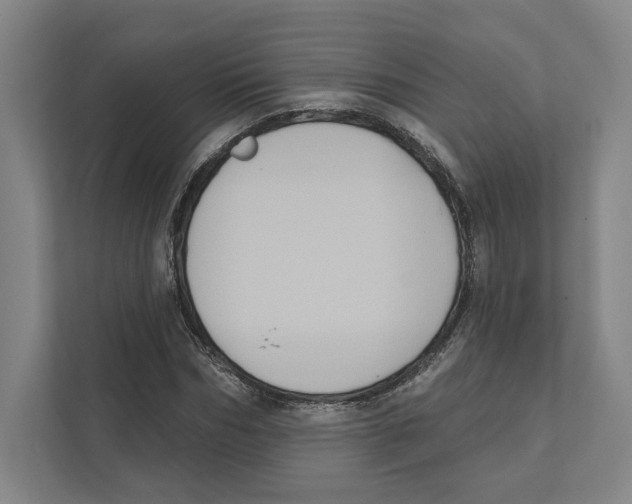 X0000111440970200908101011