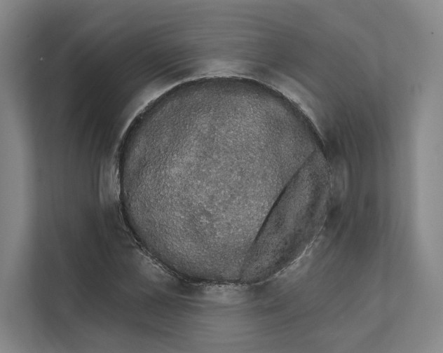 X0000111440973200908101011