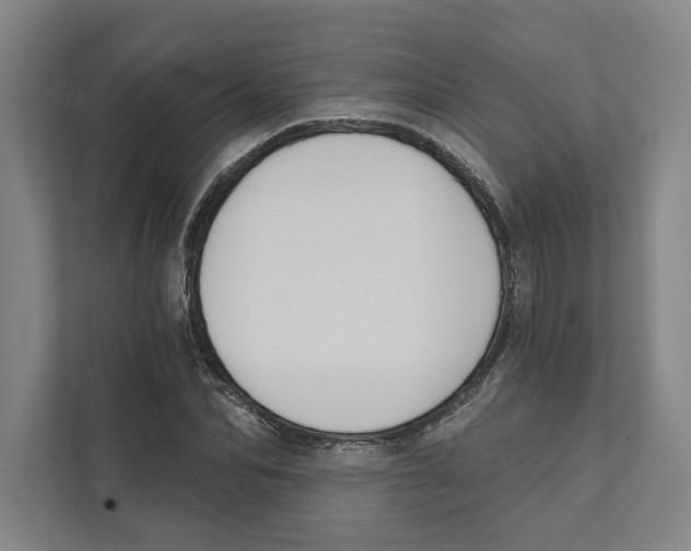 X0000111440974200908101011