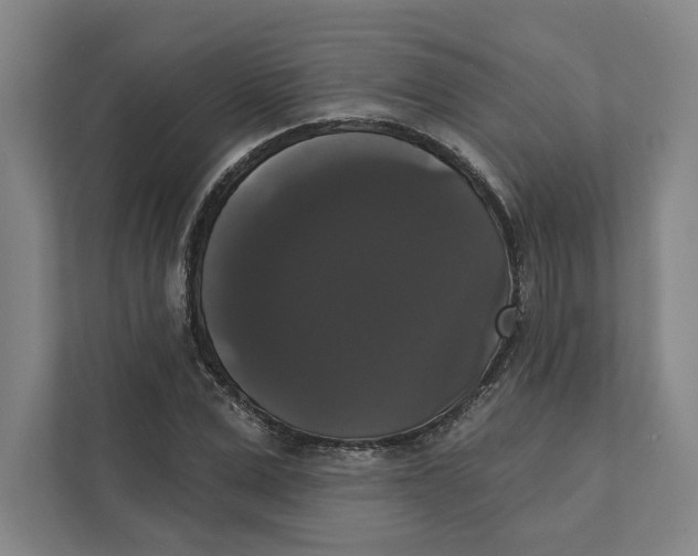 X0000111440975200908101011