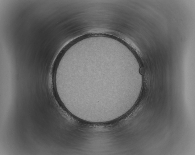 X0000111440976200908101011