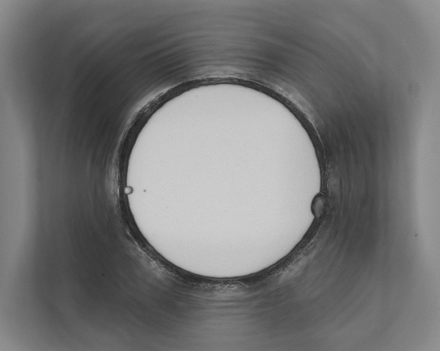 X0000111440979200908101011