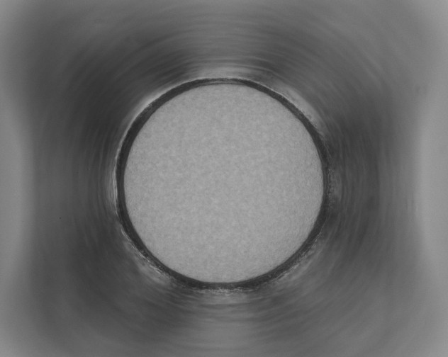 X0000111440980200908101011