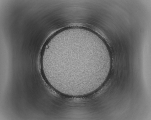 X0000111440984200908101011