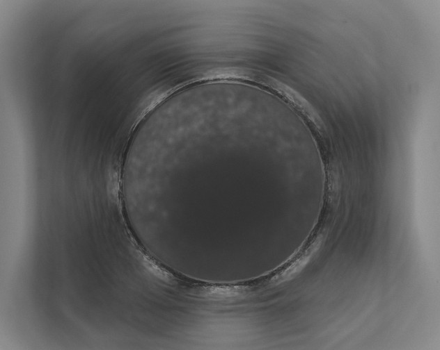 X0000111440985200908101011