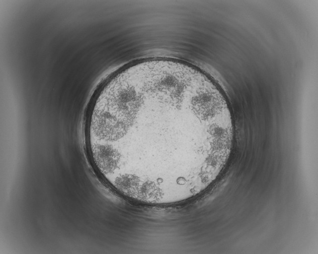 X0000111440987200908101011