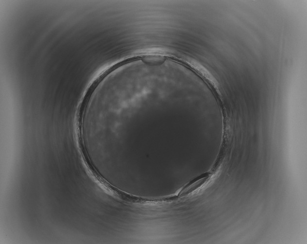 X0000111440989200908101011