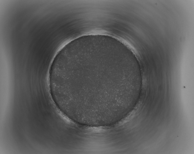 X0000111440990200908101011