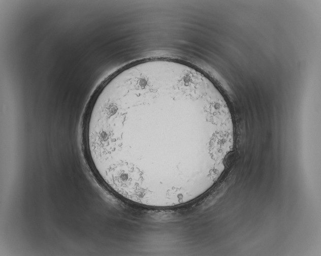 X0000111440991200908101011