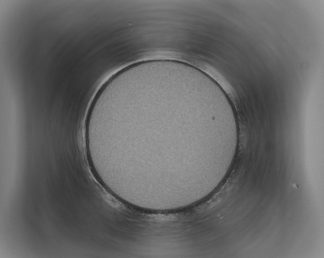 X0000111440996200908101011