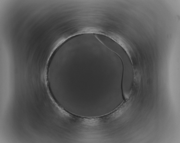 X0000111440997200908101011