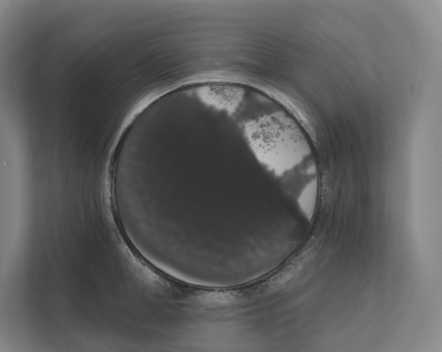 X0000111440998200908101011