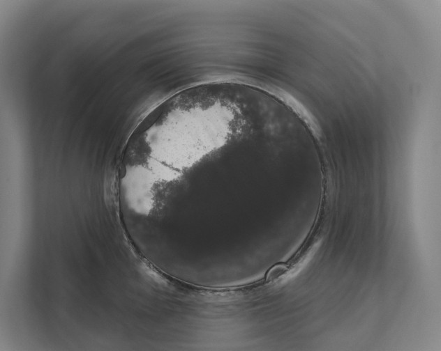 X0000111441001200908101011