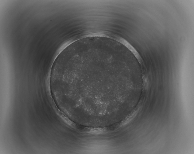 X0000111441002200908101011