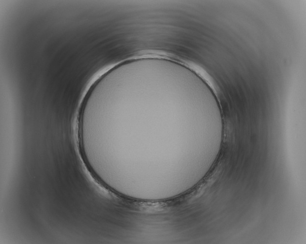 X0000111441003200908101011