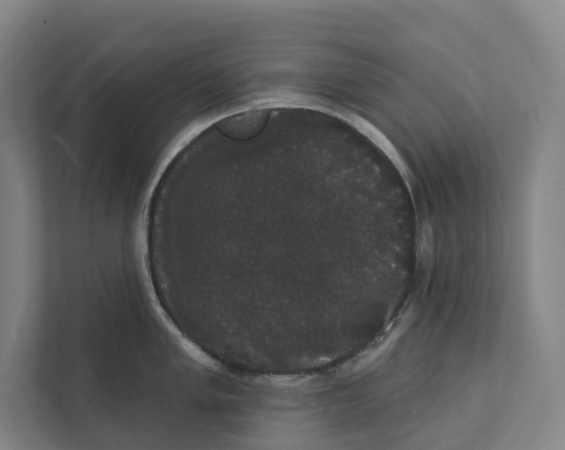 X0000111441005200908101011