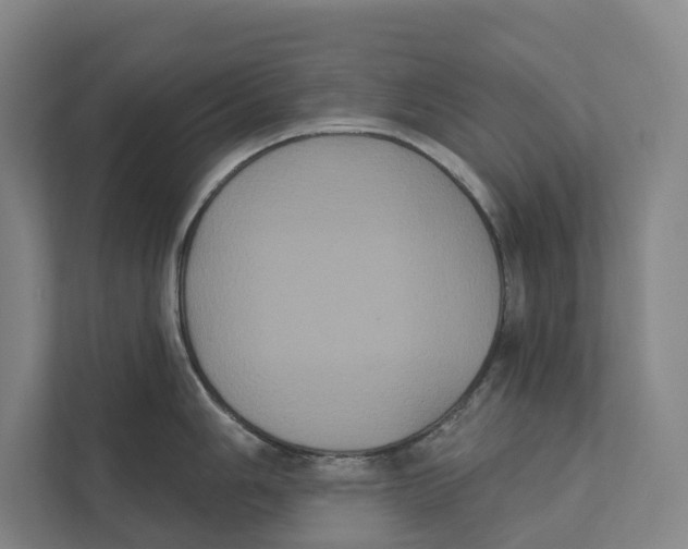 X0000111441006200908101011