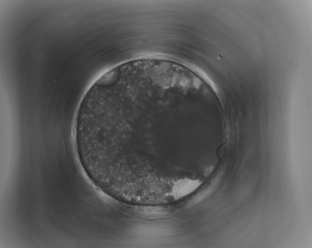 X0000111441007200908101011