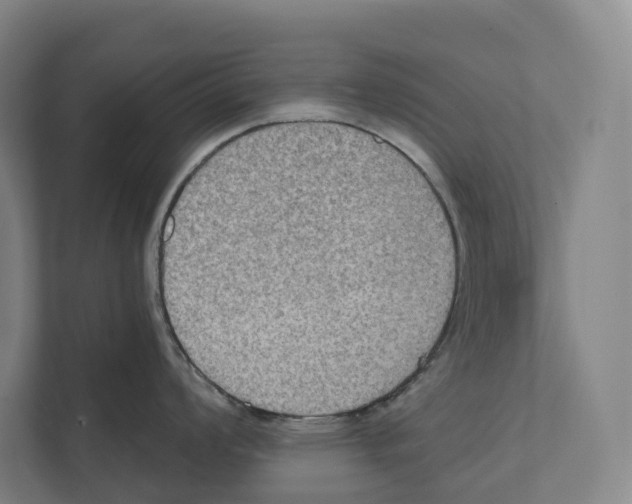 X0000111441008200908101011