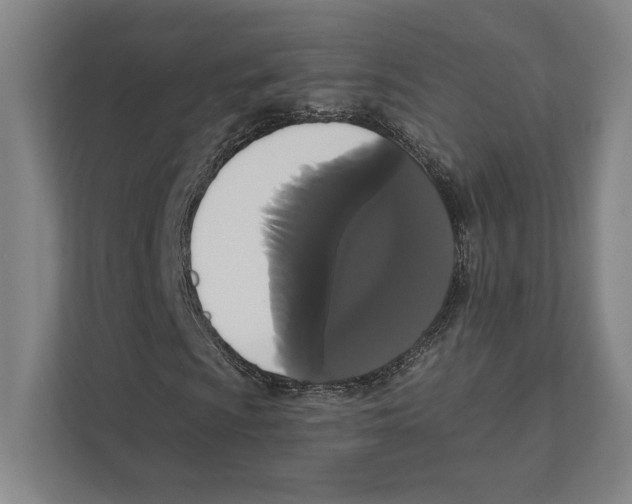 X0000111441009200908101010