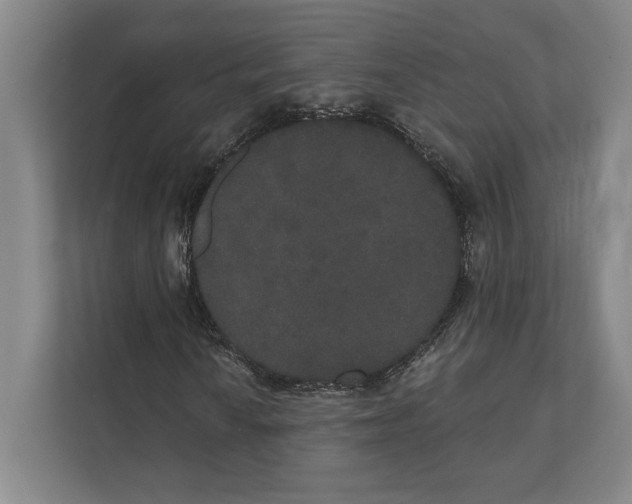 X0000111441010200908101010