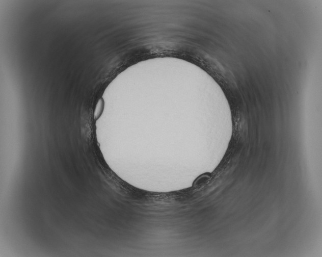 X0000111441012200908101010