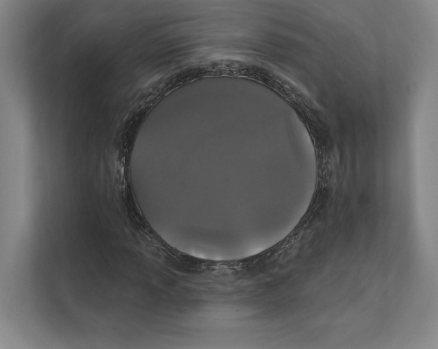 X0000111441013200908101010