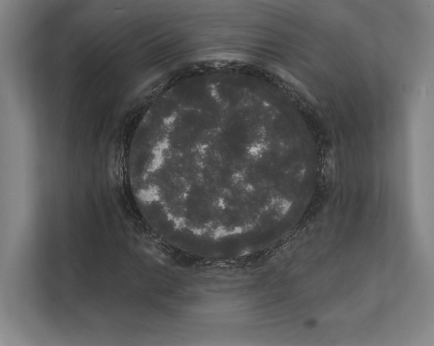 X0000111441014200908101010