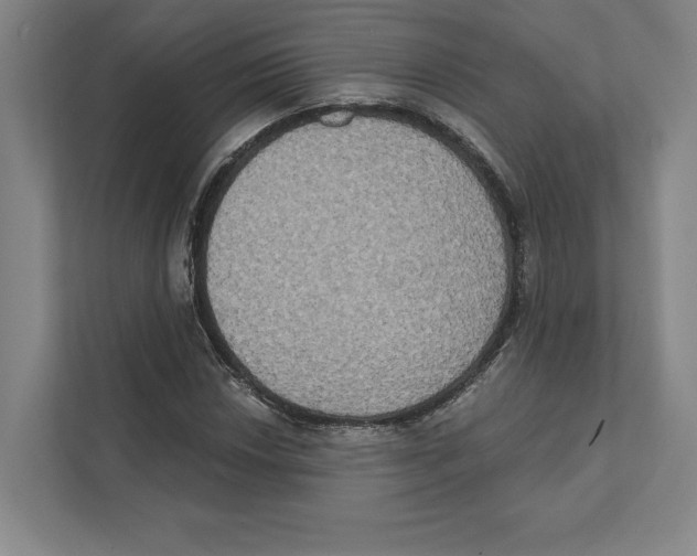 X0000111441018200908101010