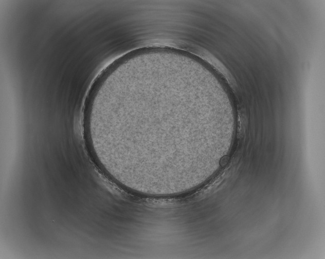 X0000111441020200908101010