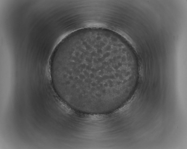 X0000111441022200908101010