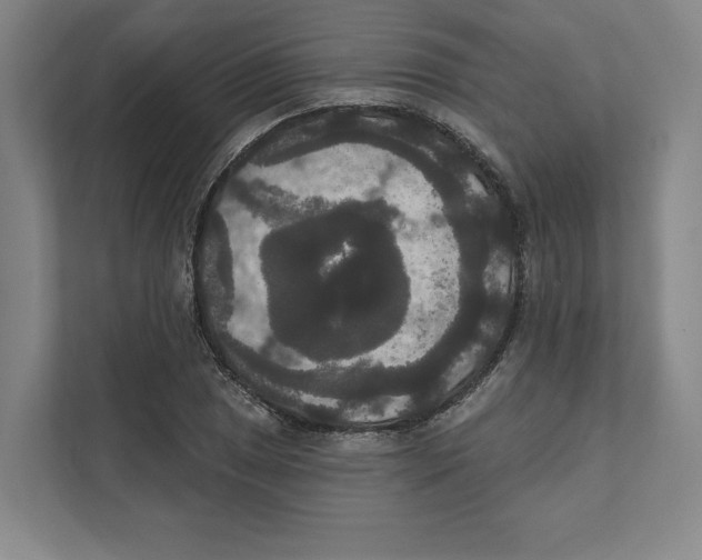 X0000111441025200908101010