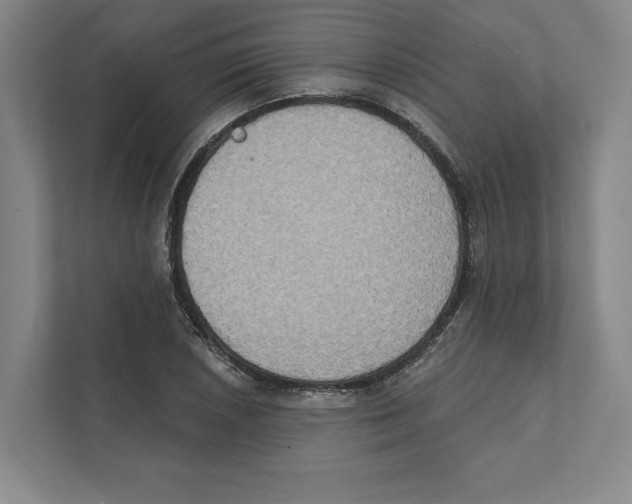 X0000111441026200908101010