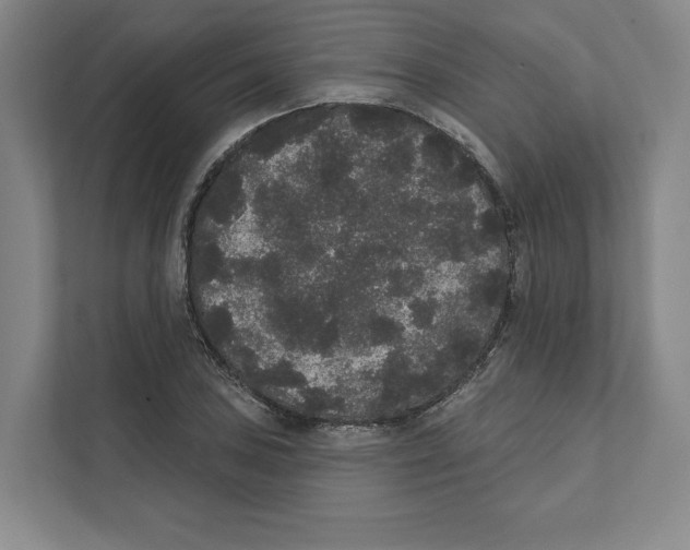 X0000111441027200908101010