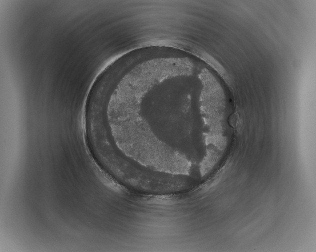 X0000111441028200908101010