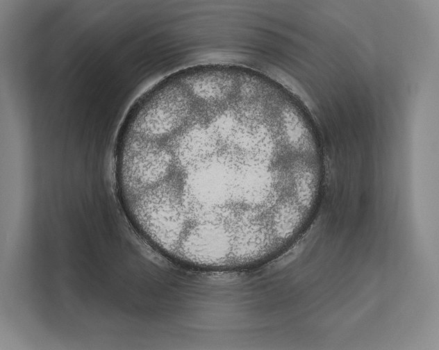 X0000111441029200908101010