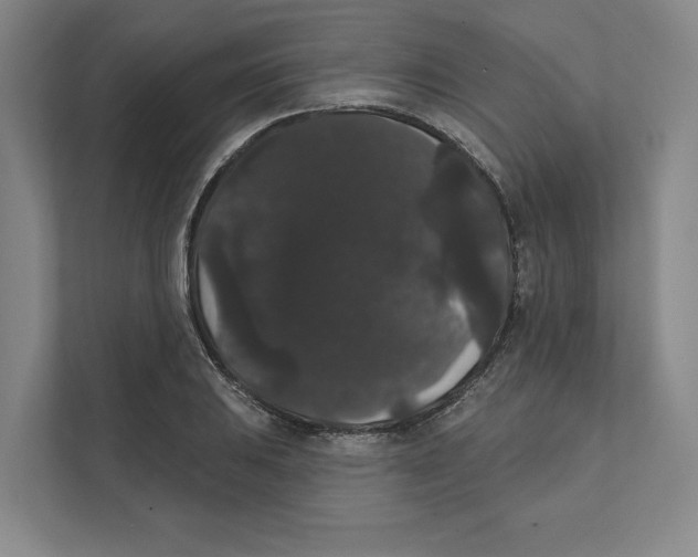 X0000111441031200908101010