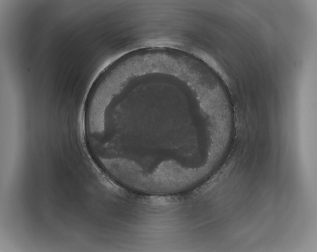 X0000111441032200908101010