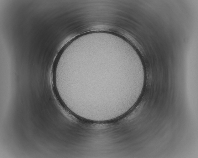 X0000111441034200908101010