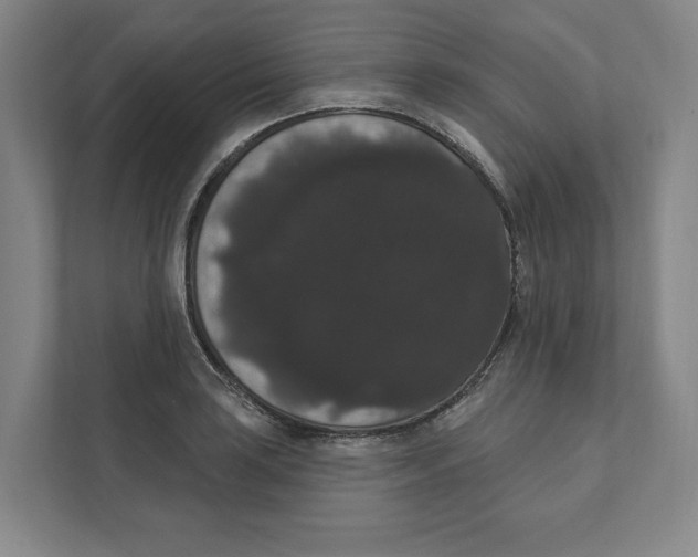 X0000111441035200908101010