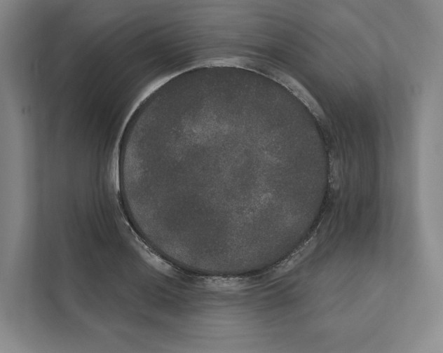 X0000111441036200908101010