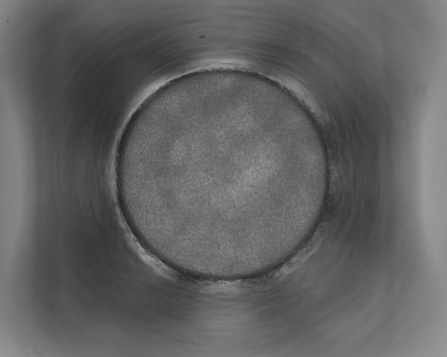 X0000111441038200908101010