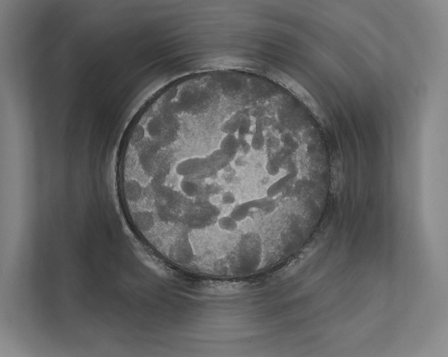 X0000111441039200908101010