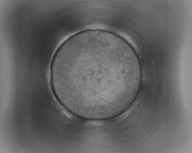 X0000111441040200908101010