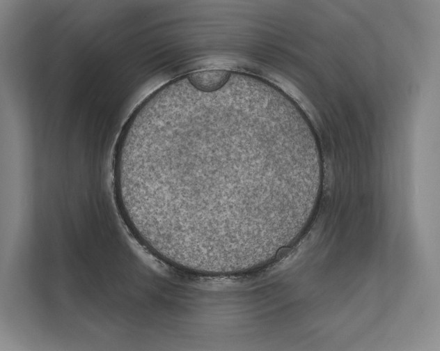 X0000111441042200908101010