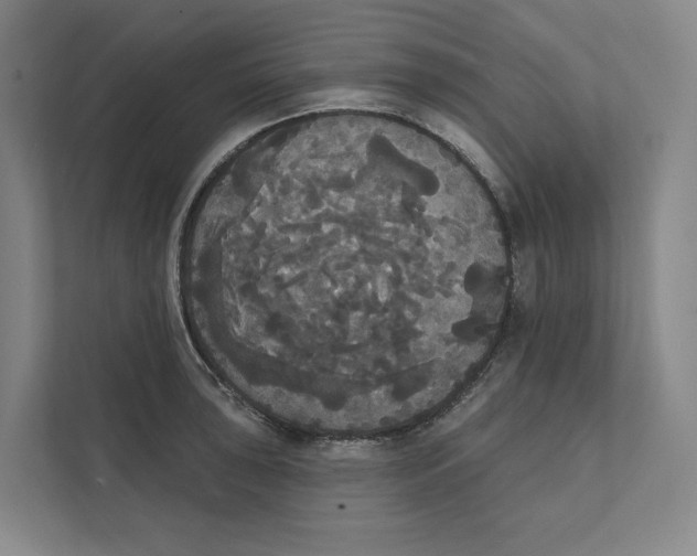 X0000111441043200908101010