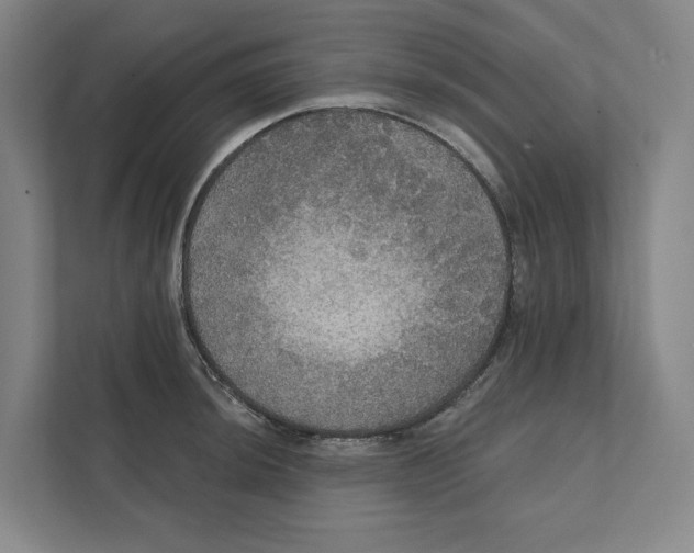 X0000111441044200908101010