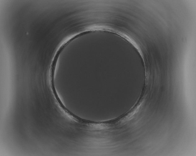 X0000111441045200908101010