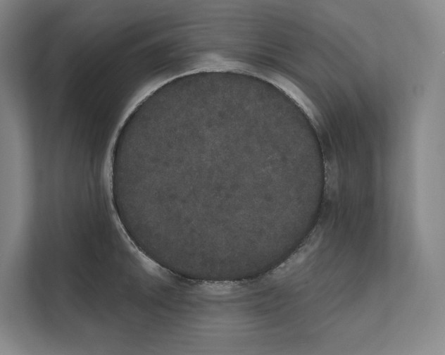 X0000111441046200908101011