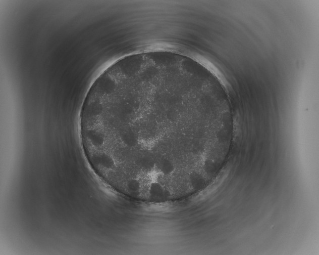 X0000111441047200908101011